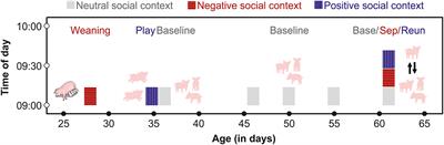 Salivary Cortisol, but Not Oxytocin, Varies With Social Challenges in Domestic Pigs: Implications for Measuring Emotions